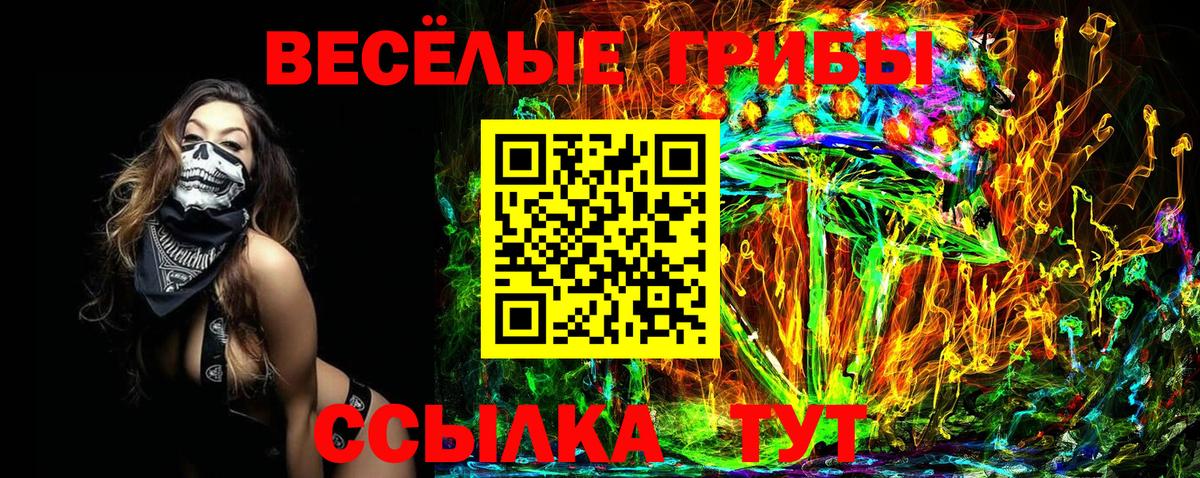 Галлюциногенные грибы прущие грибы  Вход с VPN  Галлюциногенные грибы GOLDEN TEACHER  Копейск 